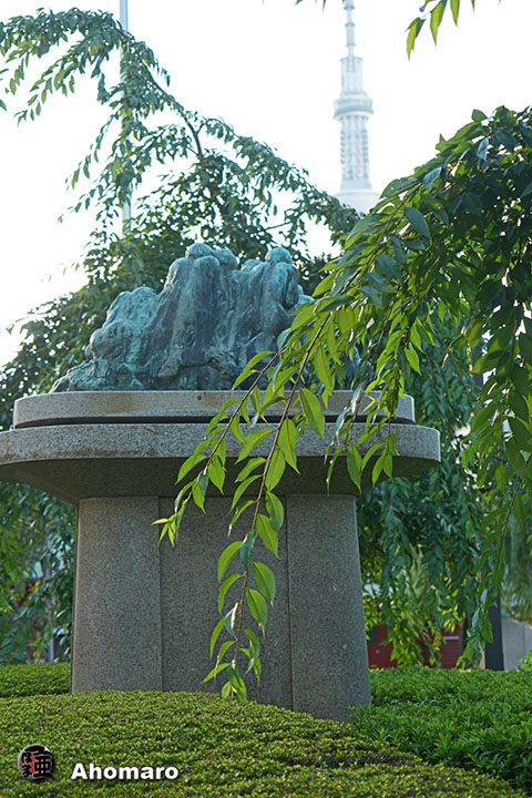 写真00