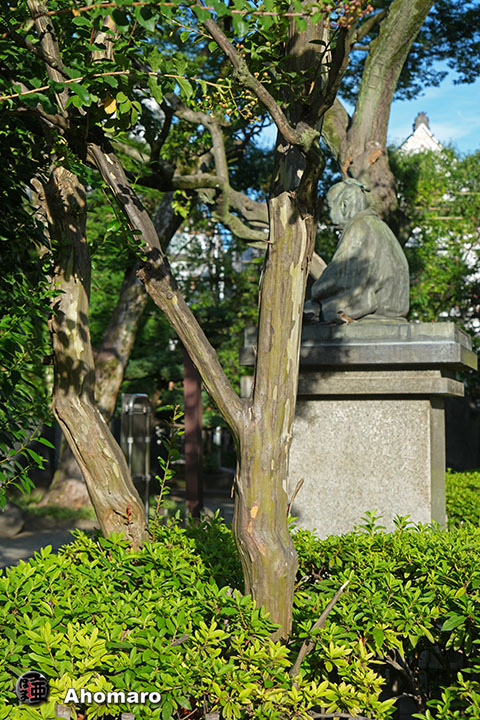 写真00