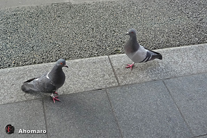 ʐ^00