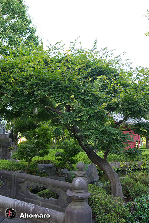 写真00