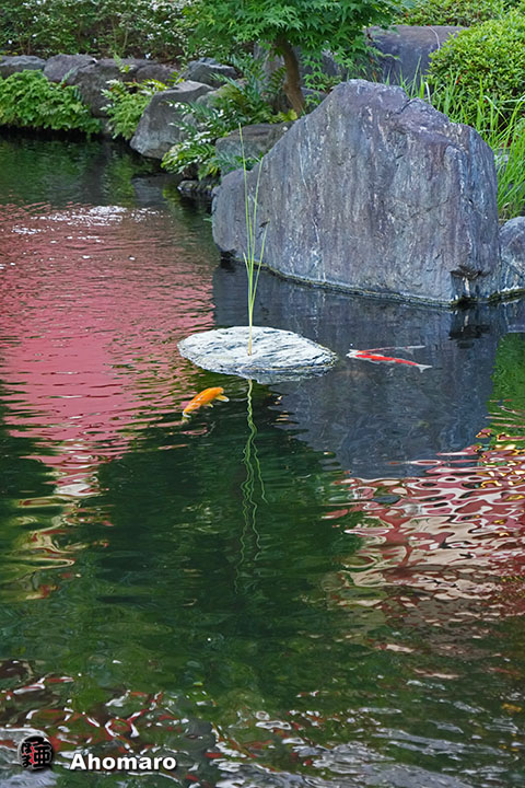 写真00