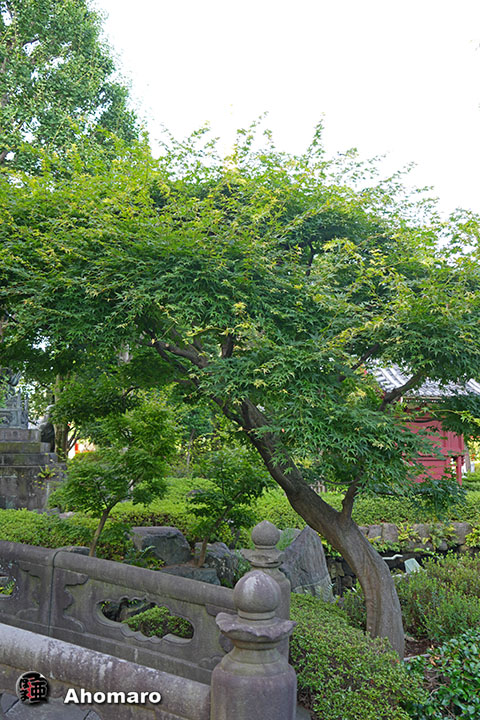 写真00