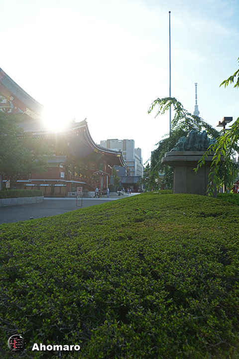 写真00