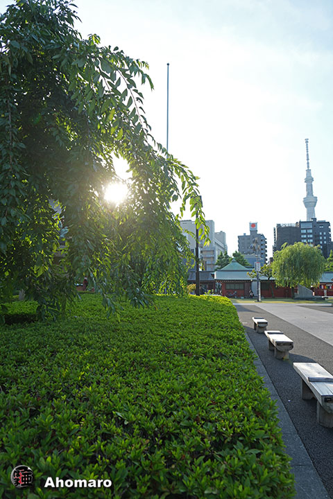 写真00