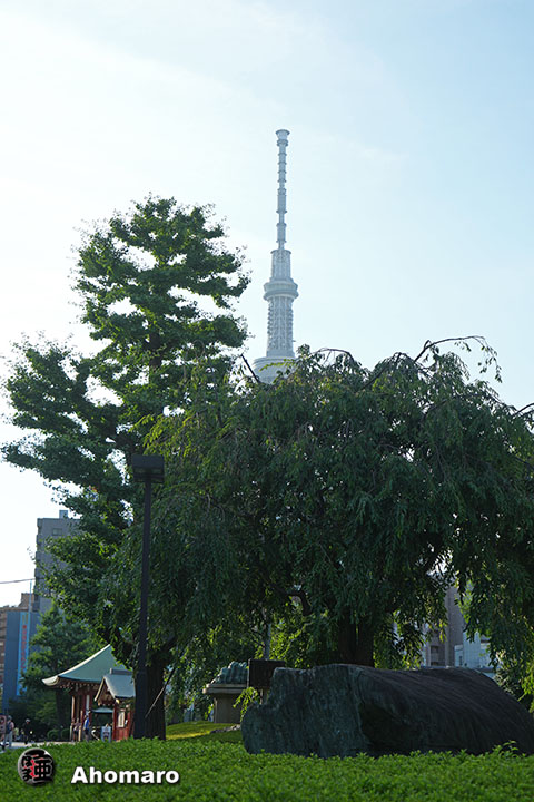 写真00