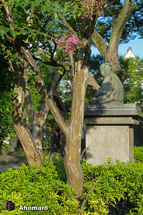 写真00