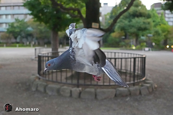 ʐ^00