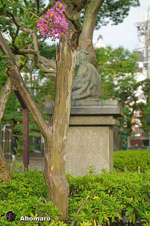 写真00