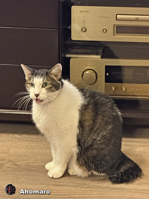 ʐ^00