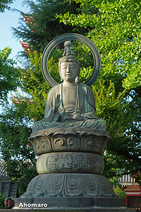 写真00