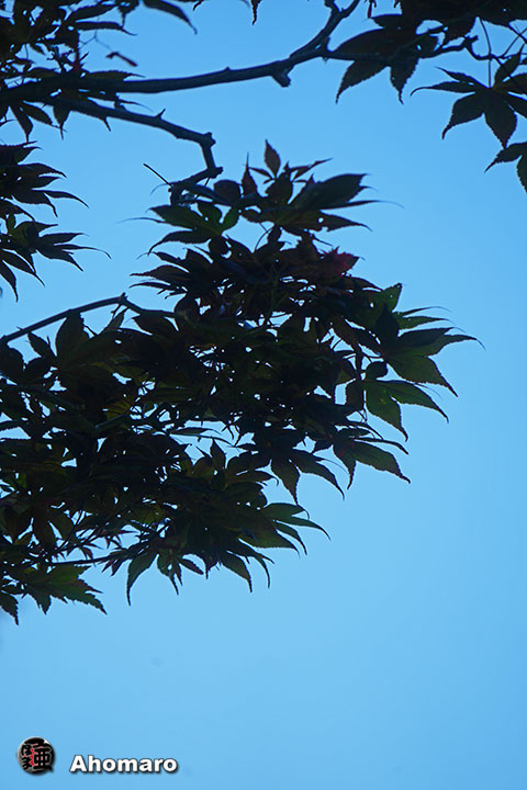 写真00