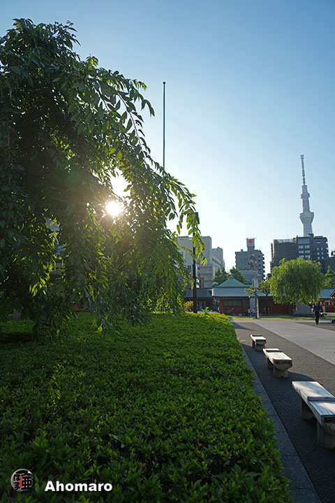 写真00