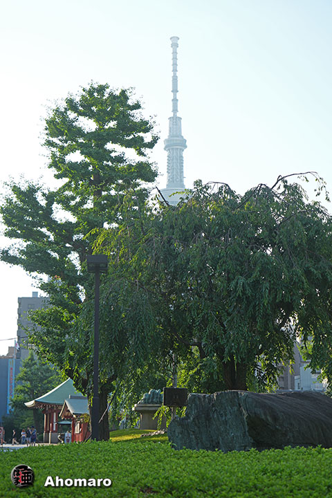 写真00