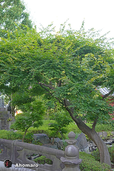 写真00