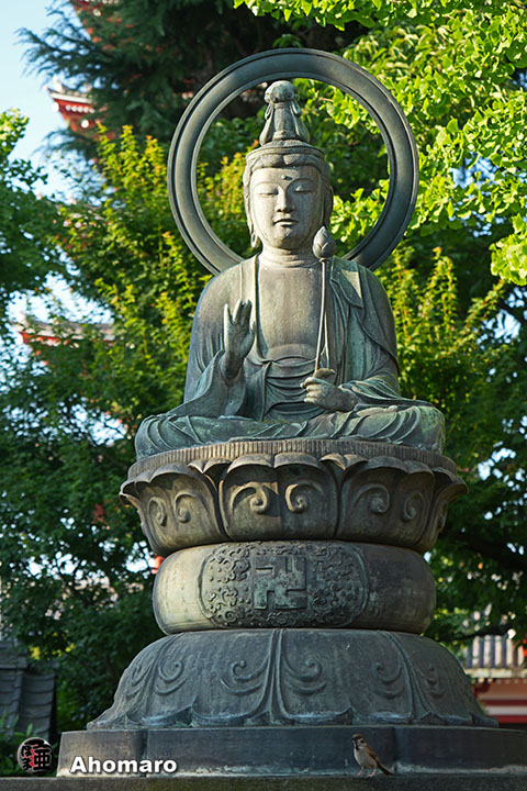 写真00