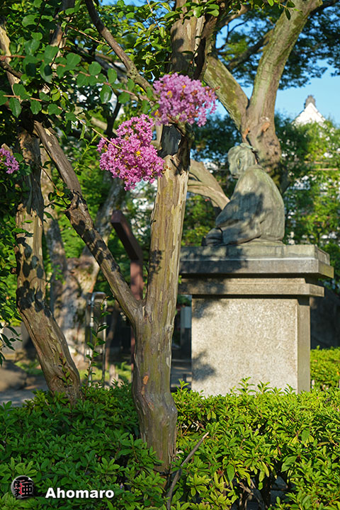 写真00