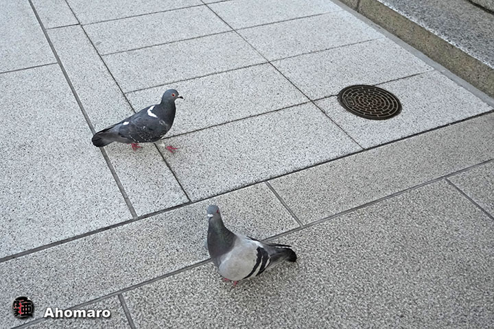 ʐ^00