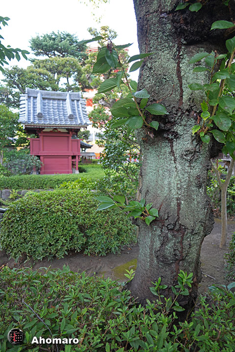 写真00