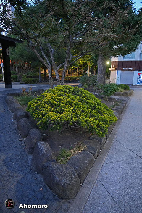 写真00
