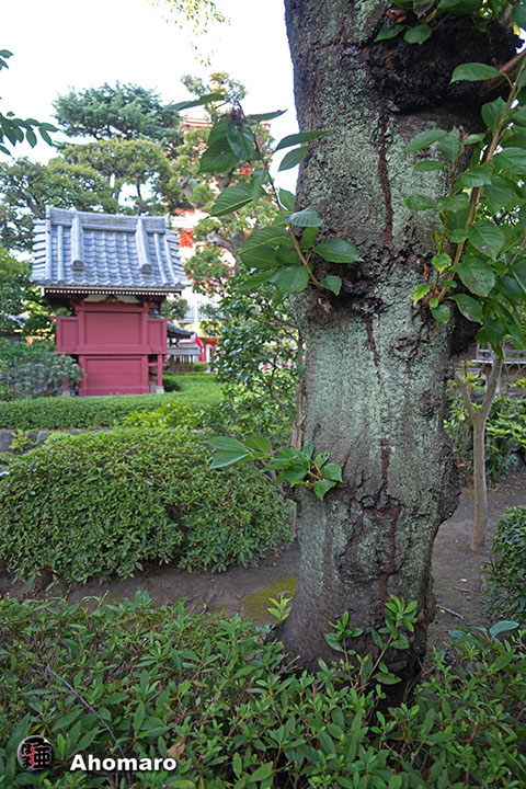 写真00