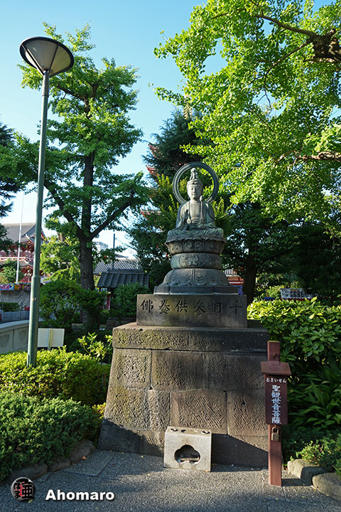 写真00