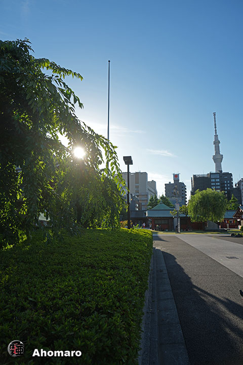 写真00