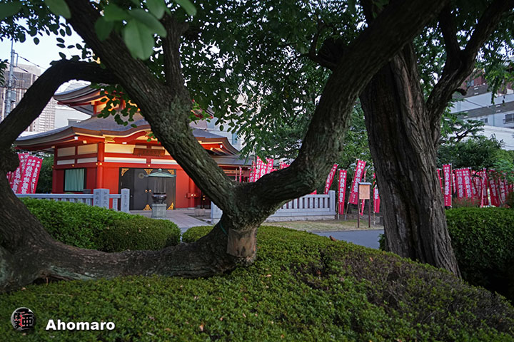写真00
