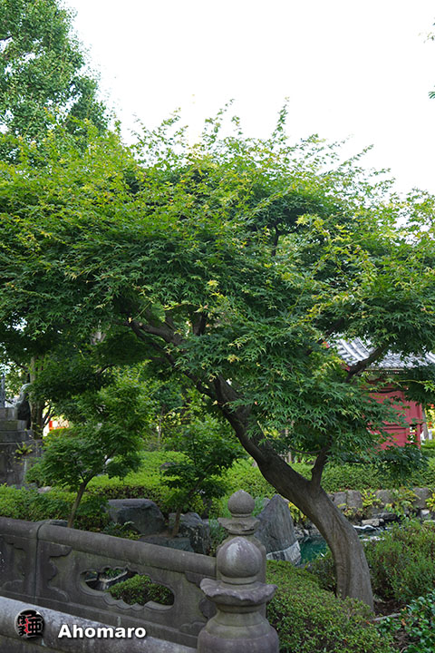 写真00