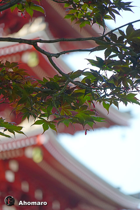 写真00