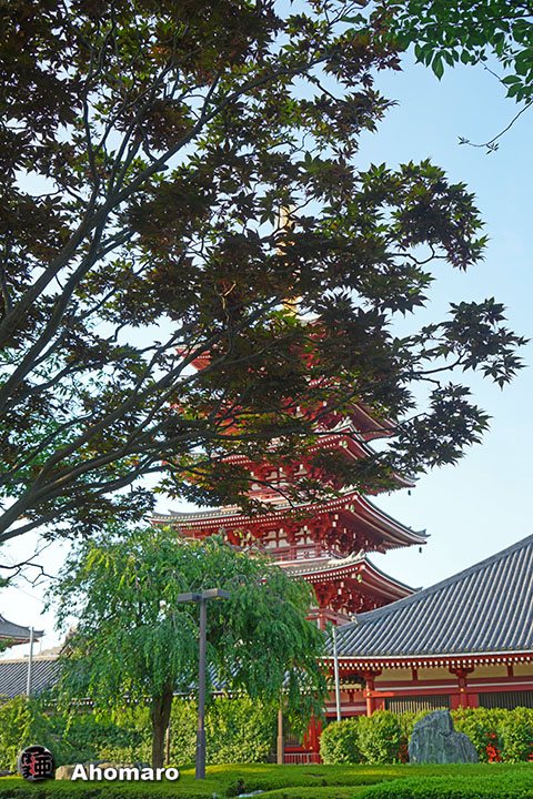 写真00