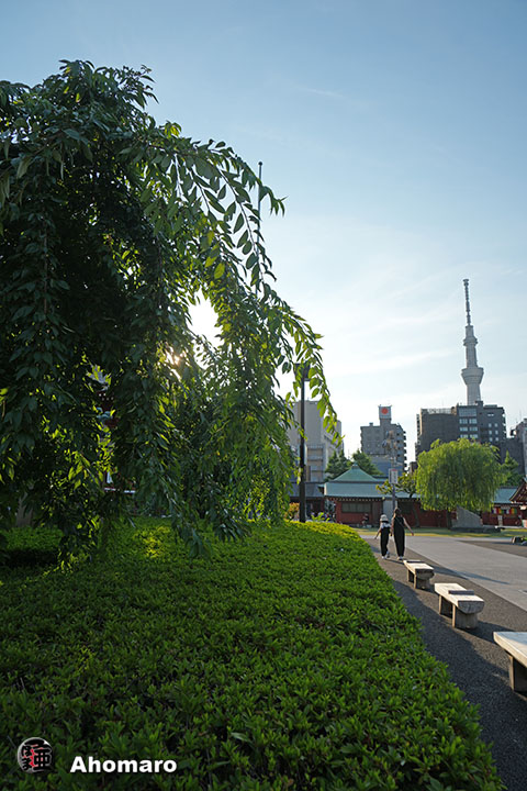 写真00