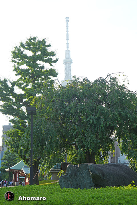 写真00