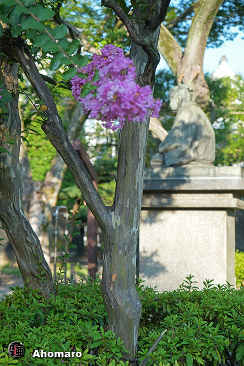 写真00