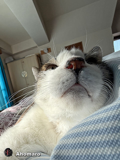ʐ^00