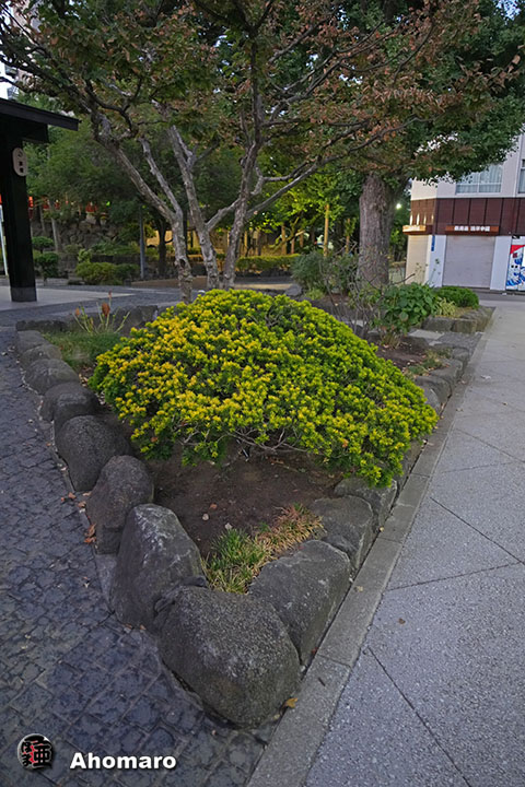 写真00