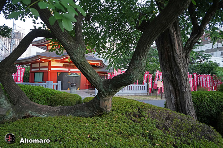 写真00