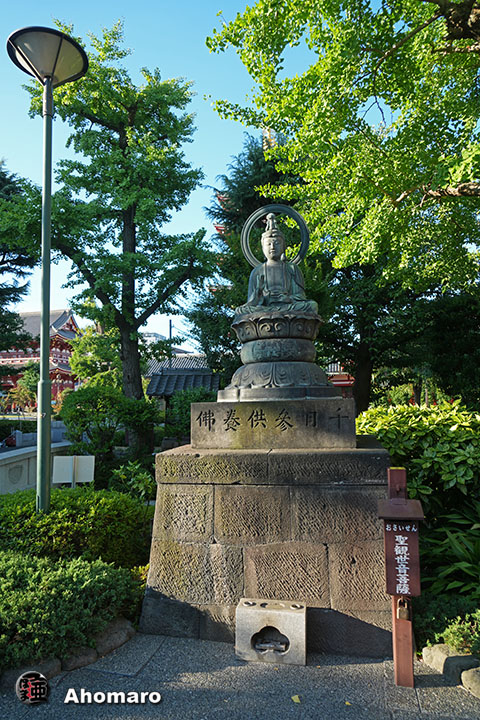 写真00