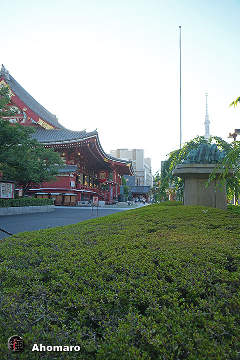写真00
