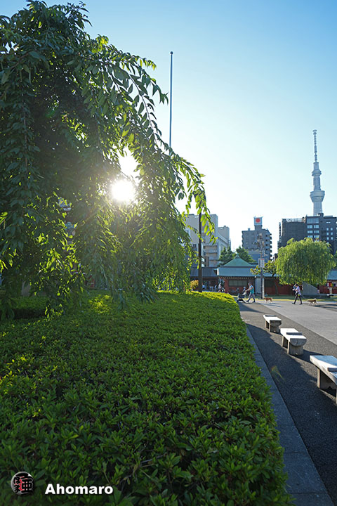 写真00