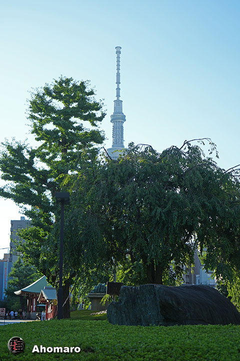 写真00