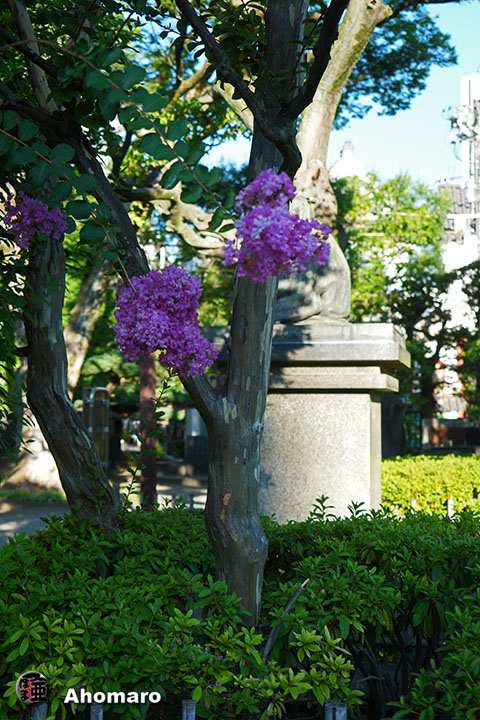 写真00