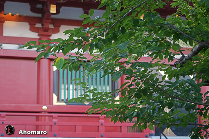 写真00