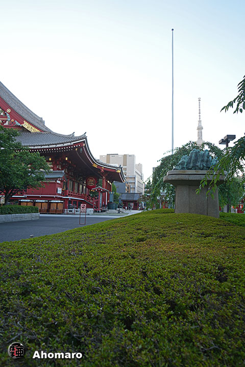 写真00