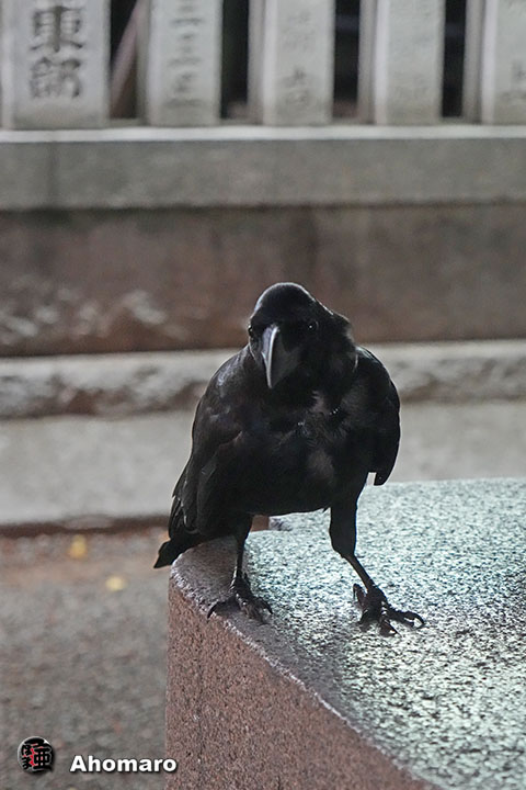 ʐ^00