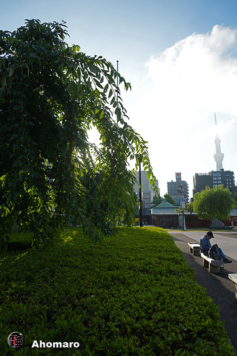 写真00