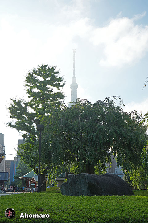 写真00