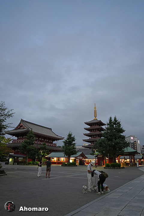 写真00