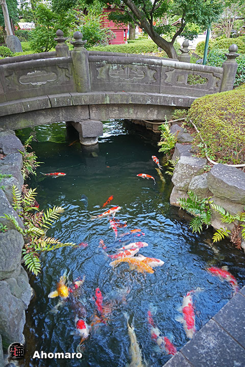 写真00