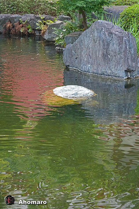 写真00