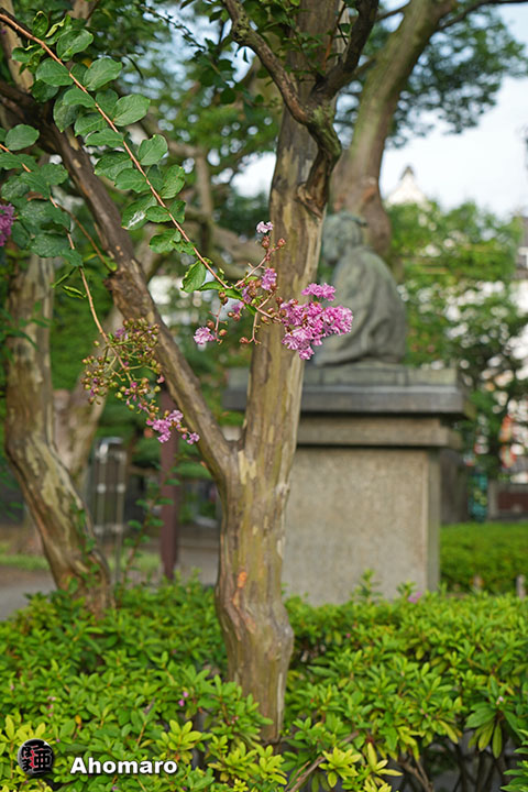 写真00